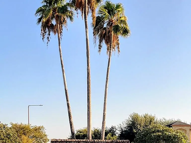702 Sonesta Dr #A — Photo 2