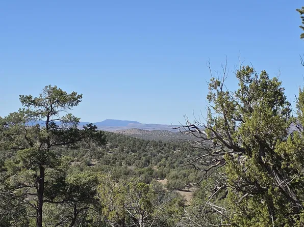 363 & 364 N Big View Trl, Ash Fork, AZ 86320