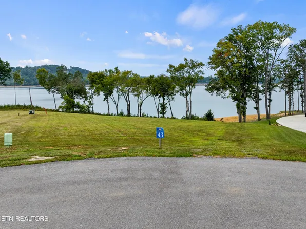 43 English Mountain Point, White Pine, TN 37890