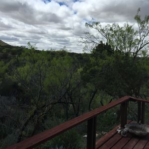 810 W 14th St, Big Spring, TX, 79720