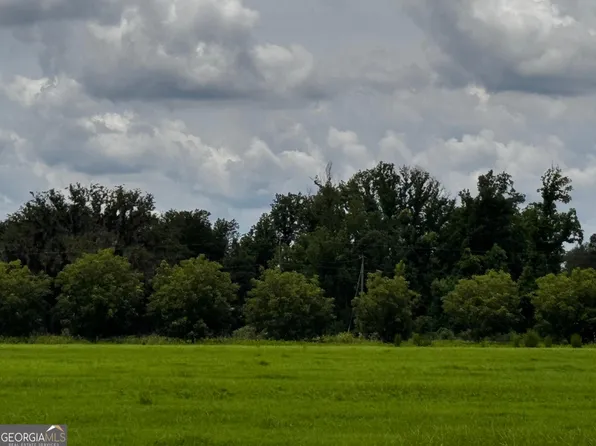 0 Old Reidsville Collins Rd, Collins, GA 30421