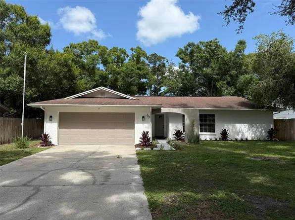 113 Kendale Dr, Safety Harbor, FL 34695