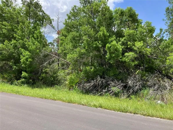 Forehand Rd Lot 14, Davenport, FL 33896