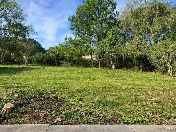 4128 Watermelon Rd, Northport, AL 35473