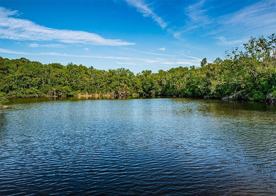 4307 Brooker Creek Dr, Palm Harbor, FL 34685 MLS U8215484 Zillow