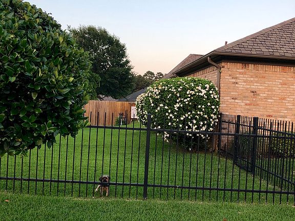 back  yard view from street