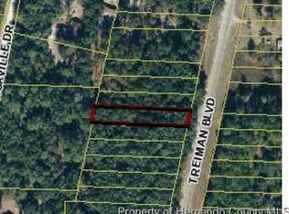 0 Treiman Blvd, Webster, FL 33597