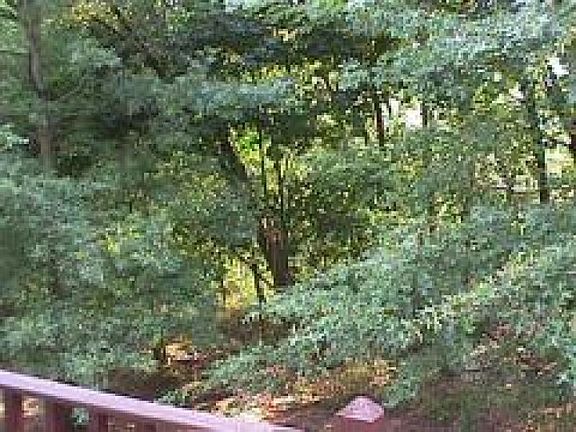 EXCELLENT VIEW FROM DECK!