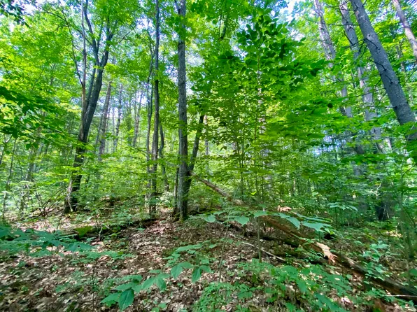 Mackinaw Trl, Gaylord, MI 49735