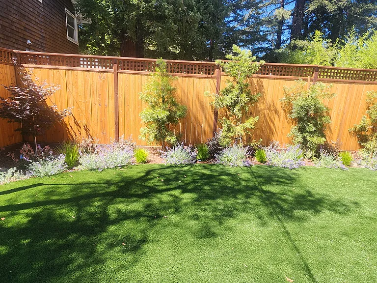 Backyard landscaping and turf