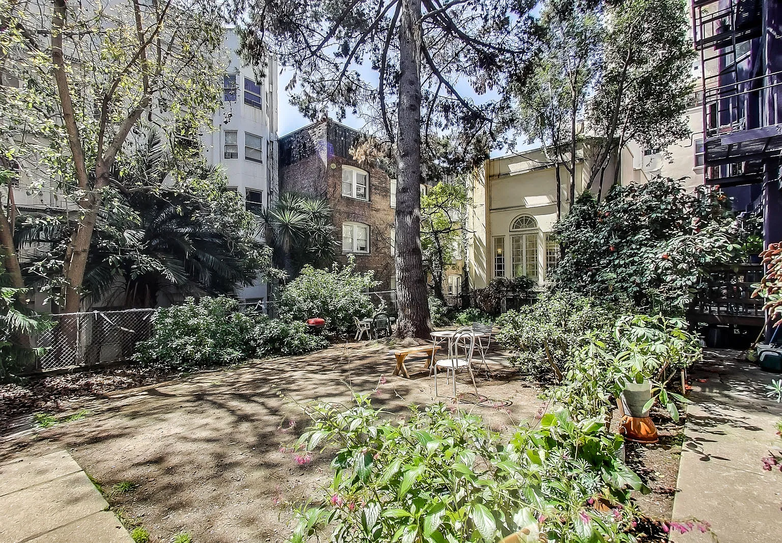 1035 Sutter — Photo 4