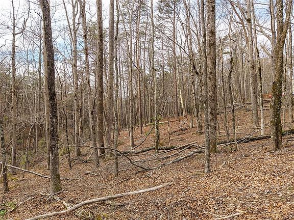 5th image of LOT 167 Henderson Mountain Rd