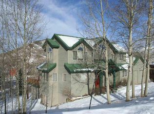 29 Cinnamon Mountain Rd, Mount Crested Butte, CO 81225
