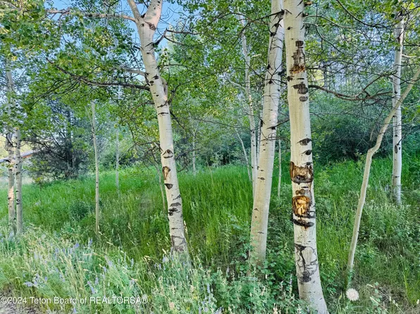 2224 Apsaroke Trl, Tetonia, ID 83452