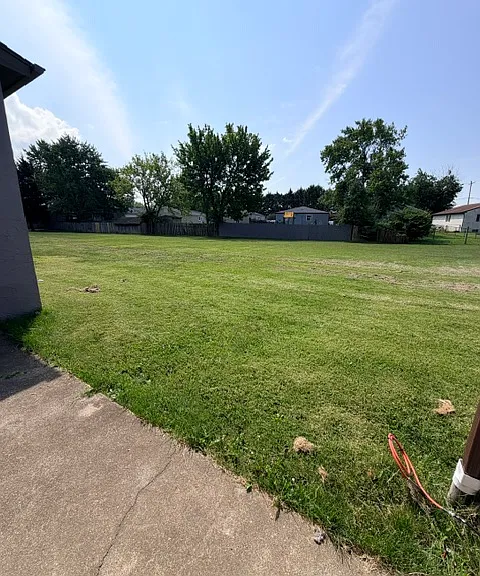 Back yard