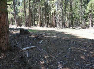 1 Papoose Trl, Blairsden Graeagle, CA 96103