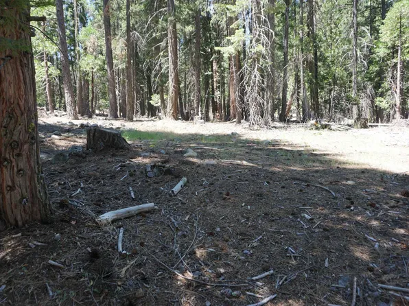 1 Papoose Trl, Blairsden Graeagle, CA 96103
