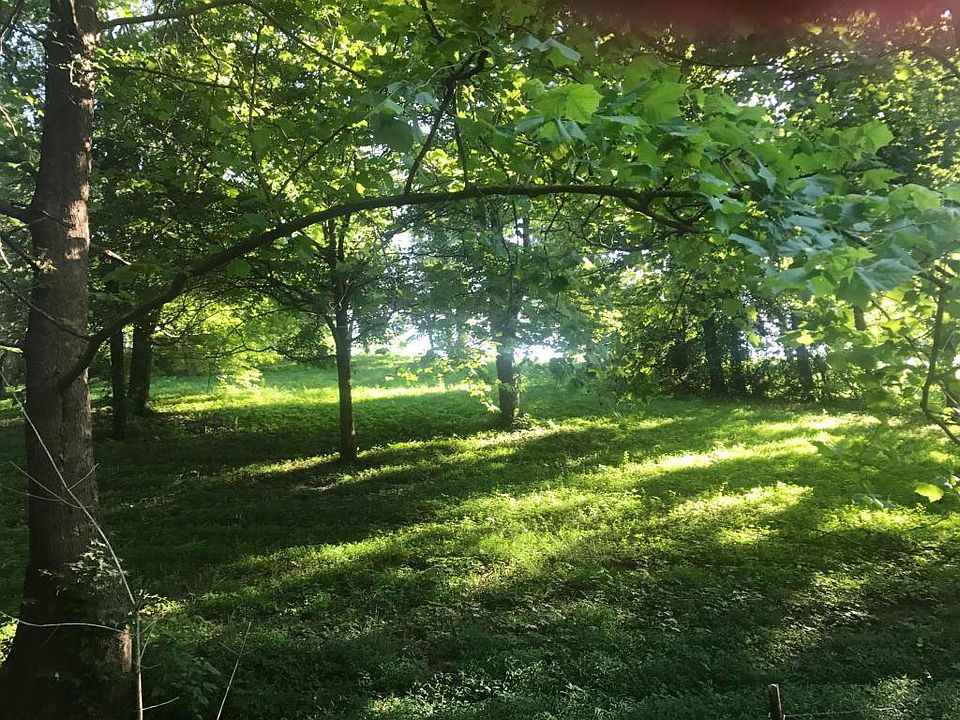 2nd image of Pine Crest Dr