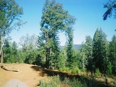 5130 Woodhaven Ct, Grizzly Flats, CA, 95636