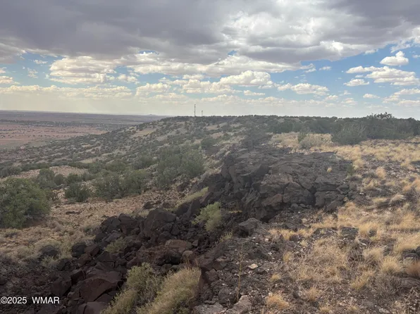 9223 Golden Horse Ln, Snowflake, AZ 85937