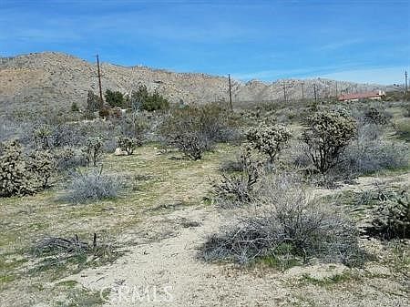 4th image of 29 Palms Hwy #35