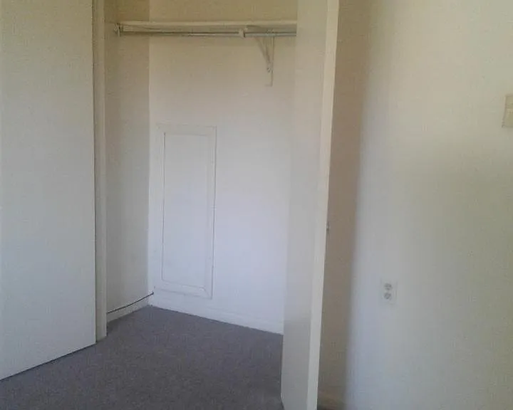 458 Maple St #5 — Photo 9