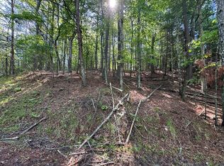 1336 Lyric Ln, Ellijay, GA 30540