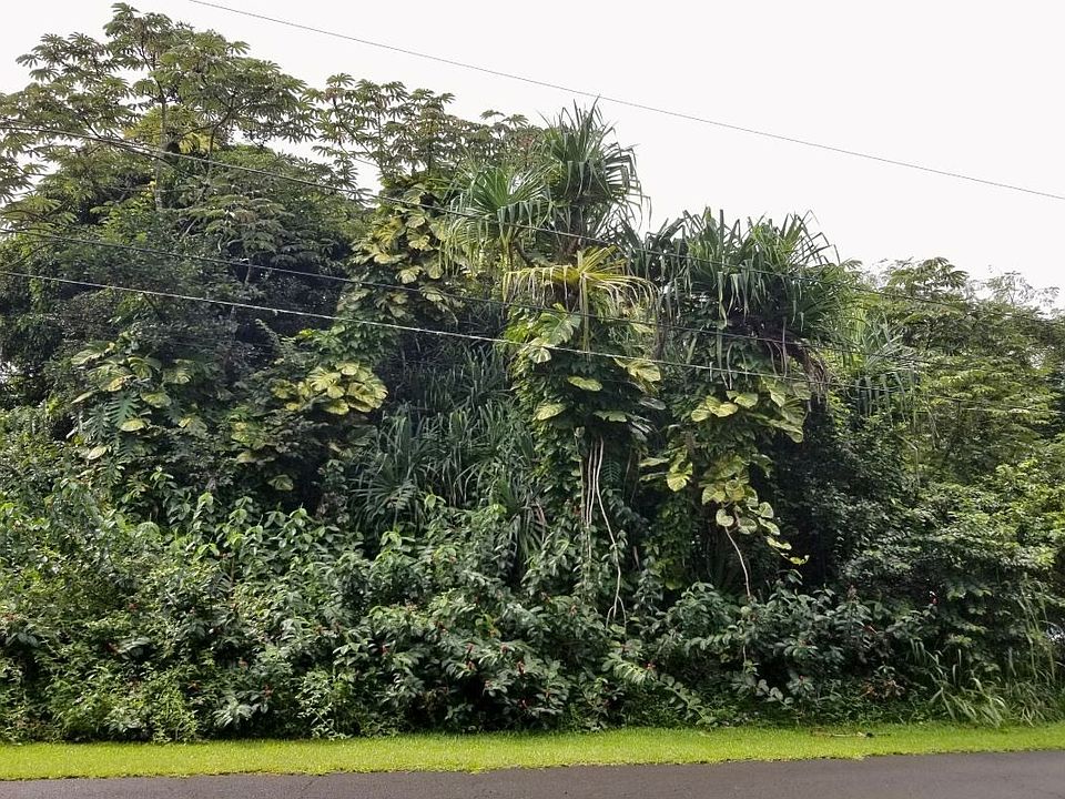 1st image of Oio St Lot 1475