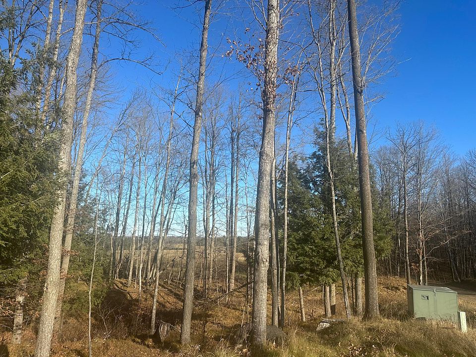 2nd image of LOT 6 Mud Lake Rd #On