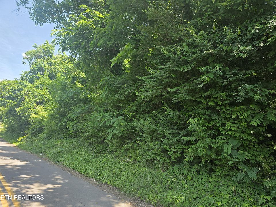 2nd image of 4020 Lilac Ave