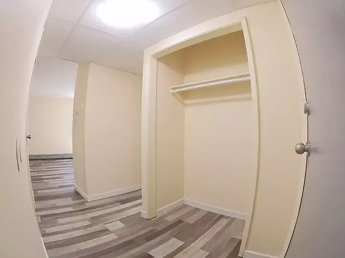 1 bed, 1.0 bath, $950 — Photo 3