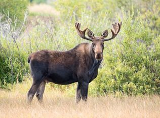 1 W Side Drive, Rangeley, ME 04964