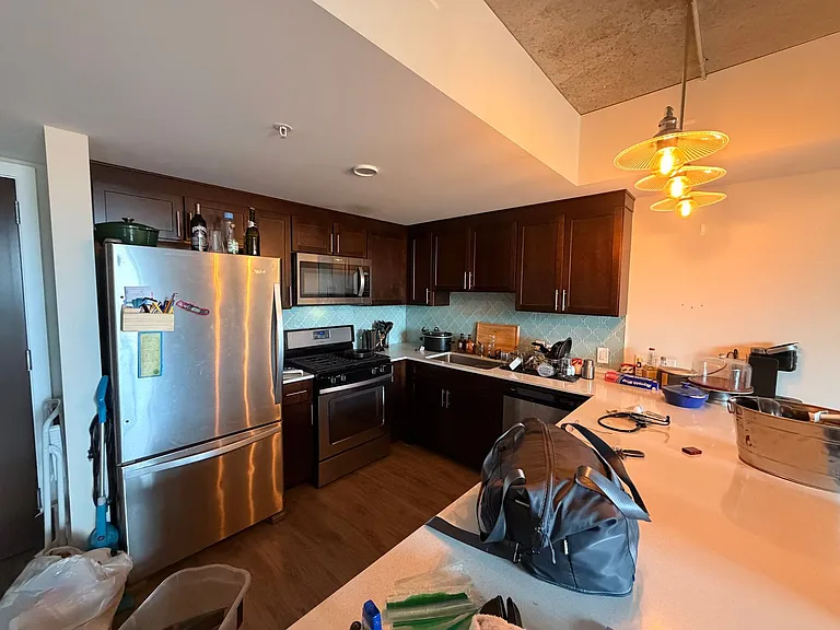Gorgeous Historical Apartments Near Beach in East Rogers Park — Photo 28