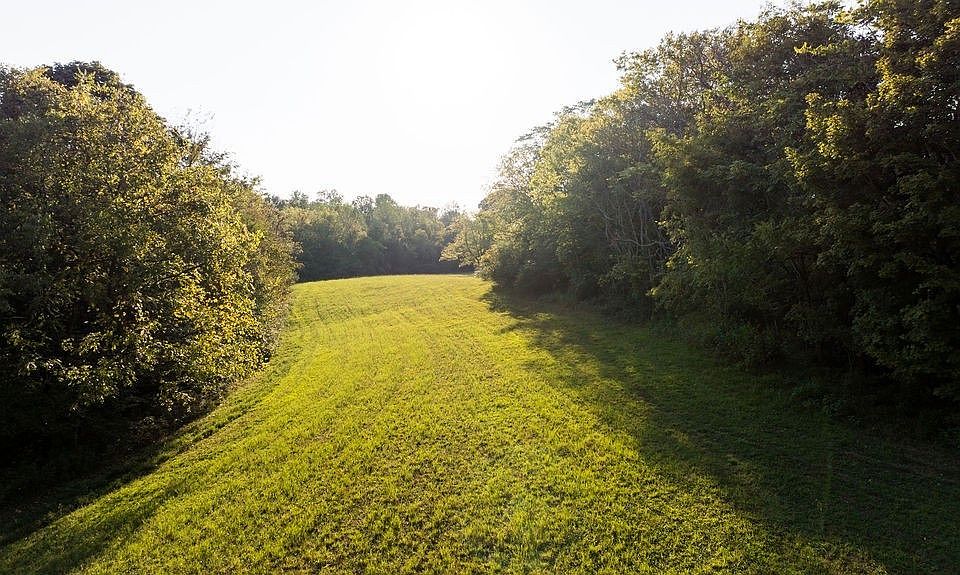 13th image of 3685 Martin Ervin Rd