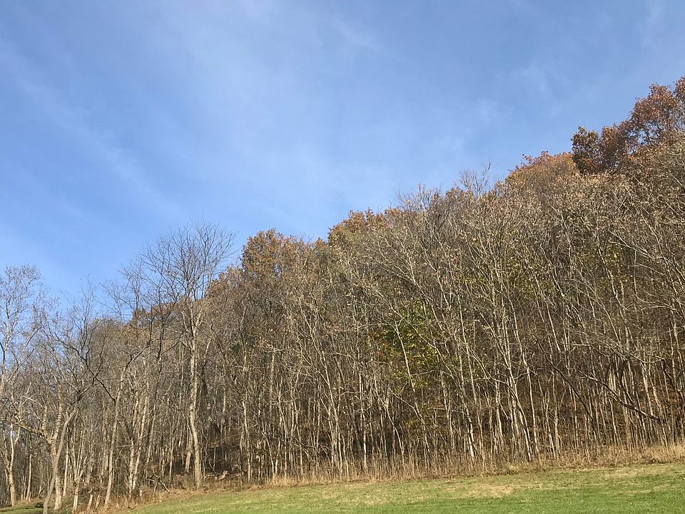 0 E Prong Locust Rd, Milton, KY 40045 Zillow