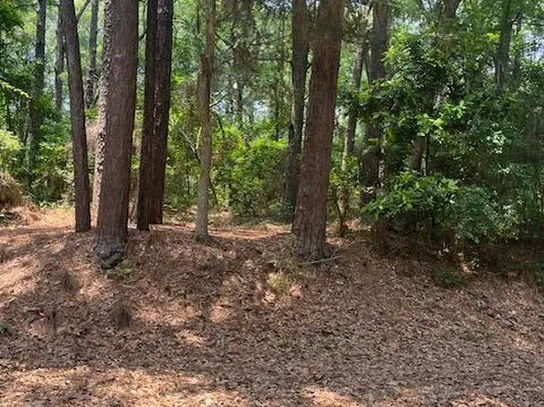 9 Woods Ln, Beaufort, SC 29907