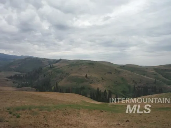 LOT 4 Middle Fork Rd, Council, ID 83612