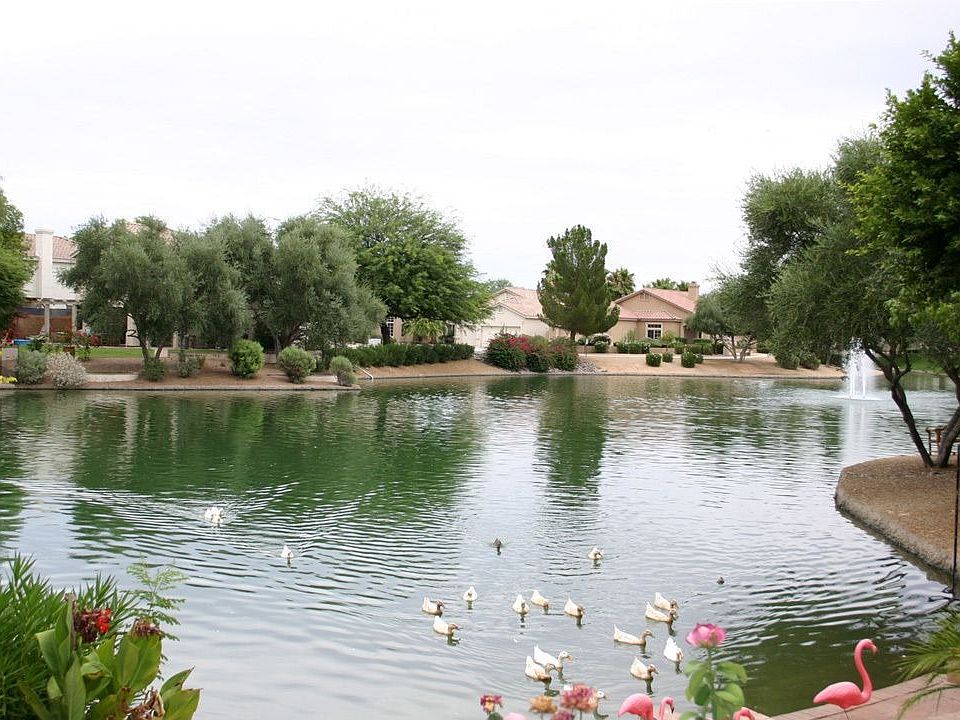 Lake View from back of home