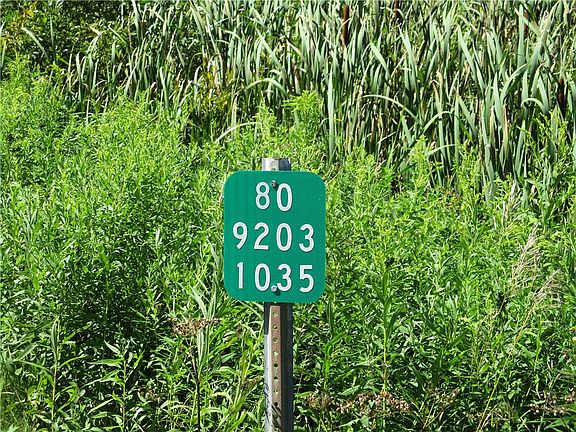 2nd image of LOT 1 State Route 80 Lot 1