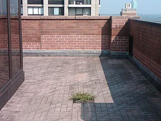 Rented by Olnick Organization