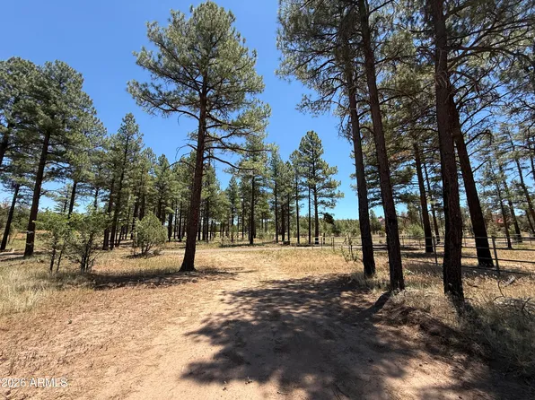854 E PINE MEADOW Lane #-, Show Low, AZ 85901