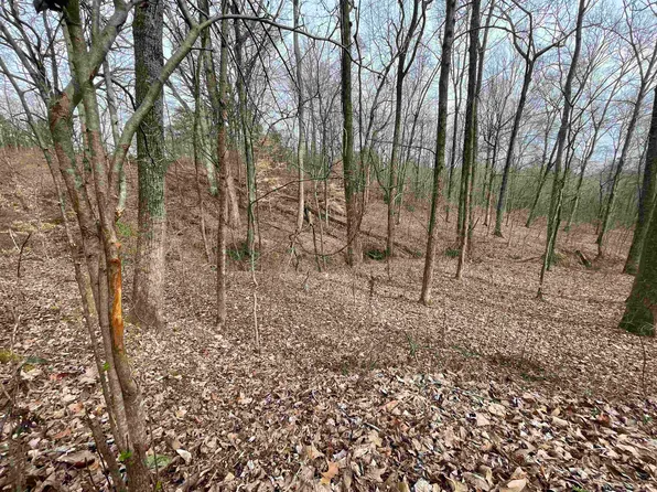 1790 County Road 235, Town Creek, AL 35672