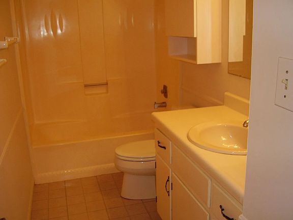1050 Sourwood Bathroom