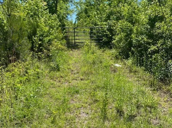 1730 N Walkers Mill Rd, Griffin, GA 30223