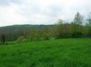 58630 Ogilbee Rd, Jacobsburg, OH 43933