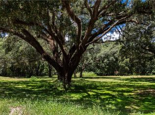10951 SE 128th Place Rd, Ocklawaha, FL 32179