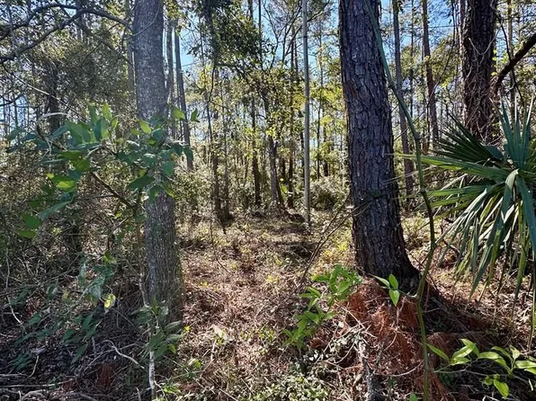 NW Hwy 19, Cross City, FL 32628