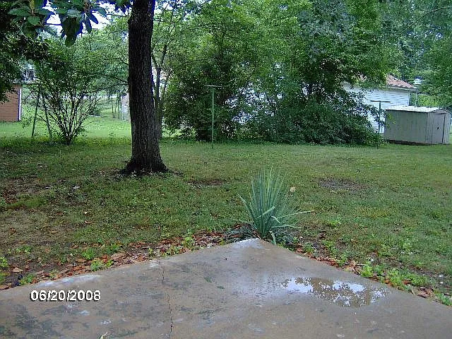Hitchcock Ave, Gallatin — Photo 4