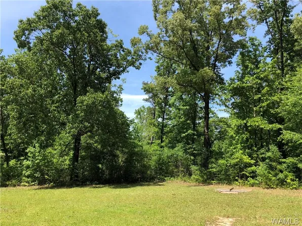 11328 Bama Rock Garden Rd, Vance, AL 35490