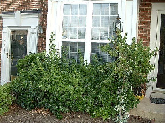 13493 Colesmire Gate Way